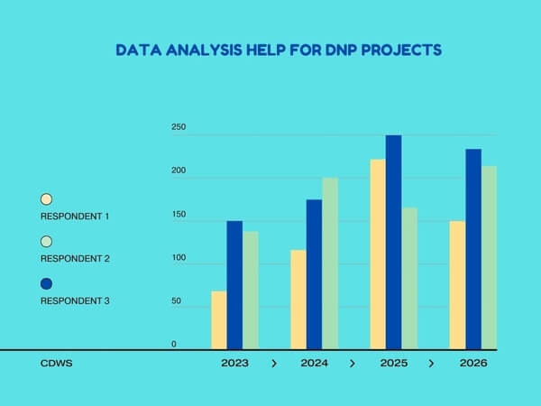 Data Analysis Services for DNP Capstone